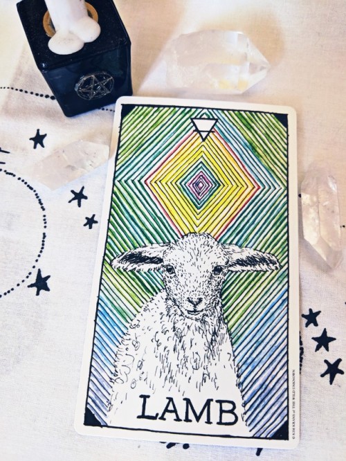 all tarot cards cult of the lamb