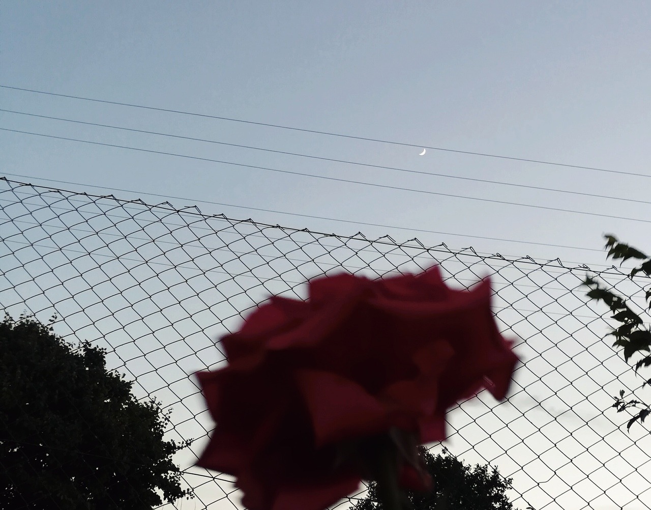 hayırlı akşamlar on Tumblr