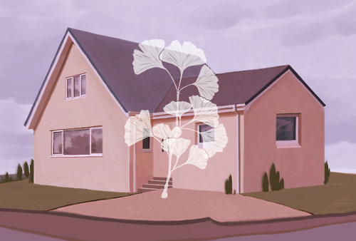 mohtz:(long time no post!) — suburban houses & ginkgo...