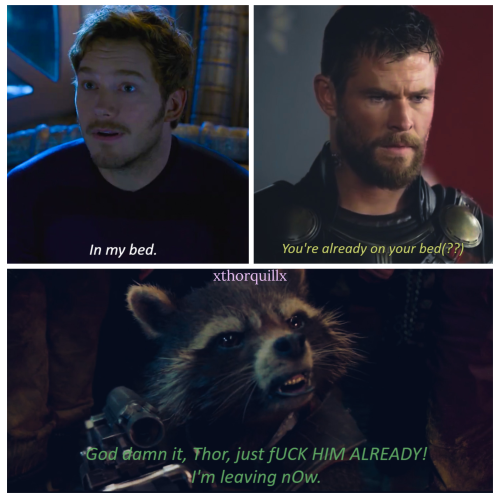 xthorquillx