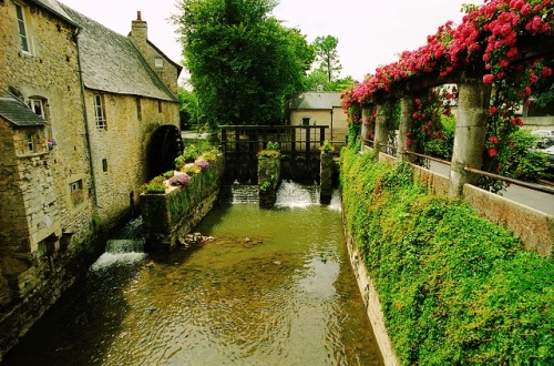 floralls:Normandy, Franceby  Rick Ligthelm