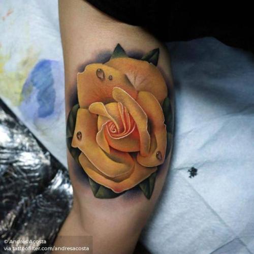 Snake Temporary Tattoos For Women Girls Big Rose Flower Tattoo Black  Waterproof Fake Peony Colorful Tatoo Body Arm Chest Back - Temporary Tattoos  - AliExpress