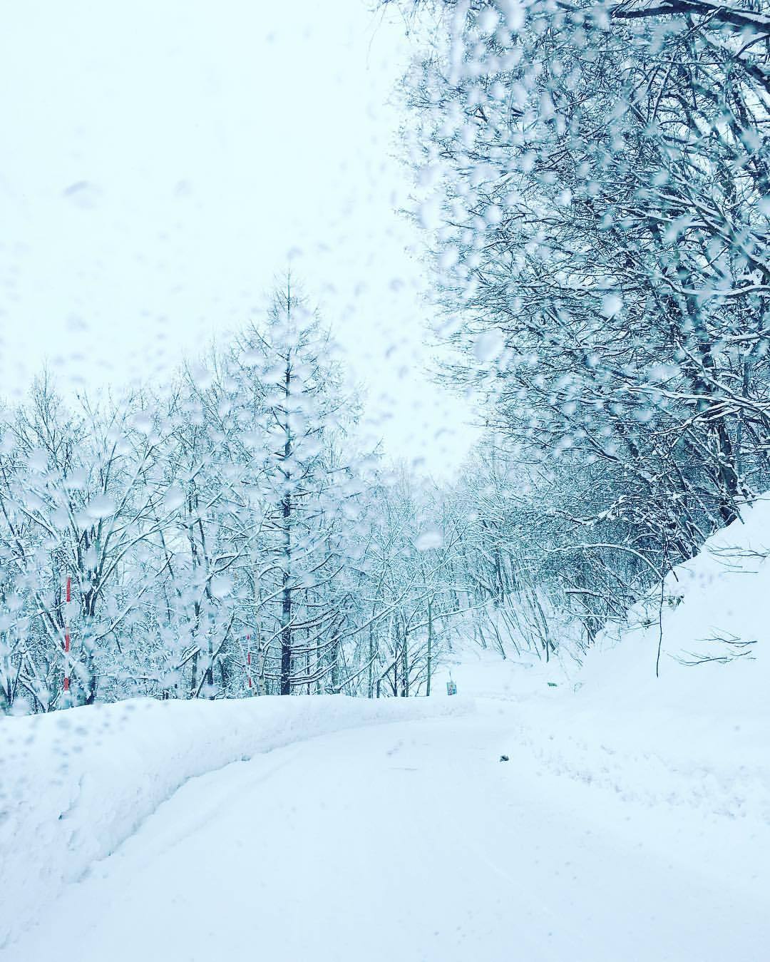 暮らしかた冒険家 未来の ふつう を今つくる 外はとにかく寒い 後厄だと思って 北海道神宮に出かけたが 数えで33歳だったため もうすぎていた そうか わたしには 妊娠出産のすべてが 厄だったのか と 妙に納得した Days