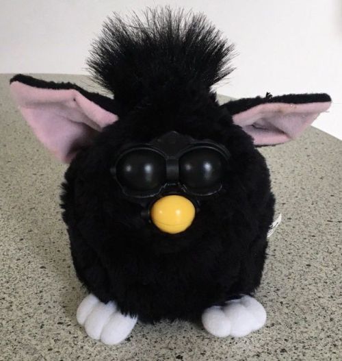 witches cat furby