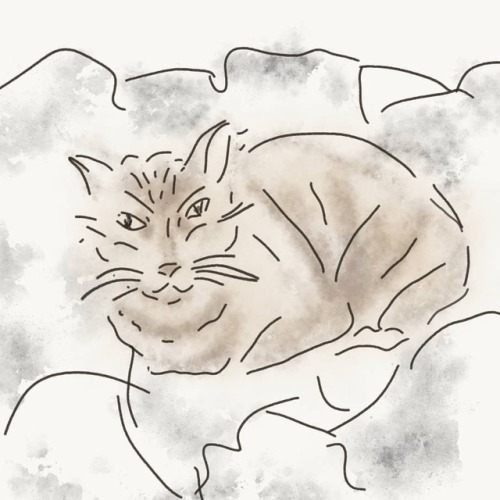 George loaf#inktober #inktober2018 #adobesketch #sketch #cat...