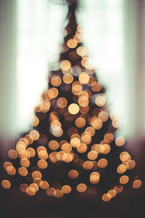 visualechoess:Xmas Bokeh by: Javier Luces