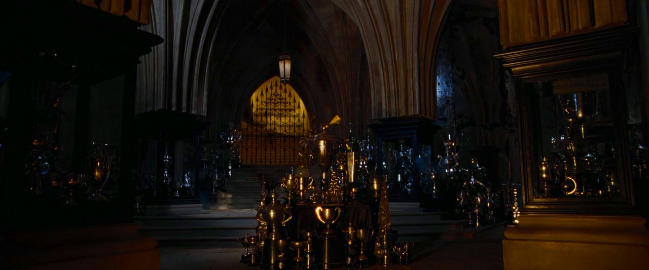 A View From the Hogwarts Bridge — Hogwarts Trophy Room below the Great ...