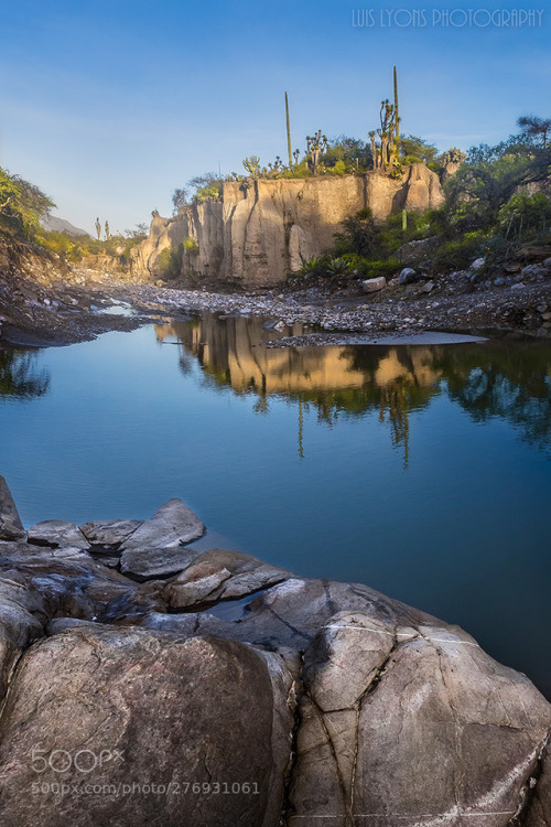 Desert Creek Reflections by LuisLyons