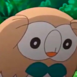 Image result for rowlet faces