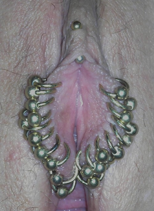 A much pierced pussy, she has a VCH with a barbell, and twenty inner labia piercings...