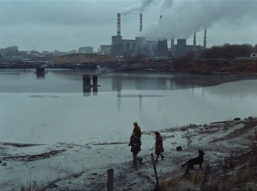 ozu-teapot:Stalker | Andrei Tarkovsky | 1979