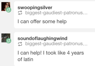 Homework helper tumblr