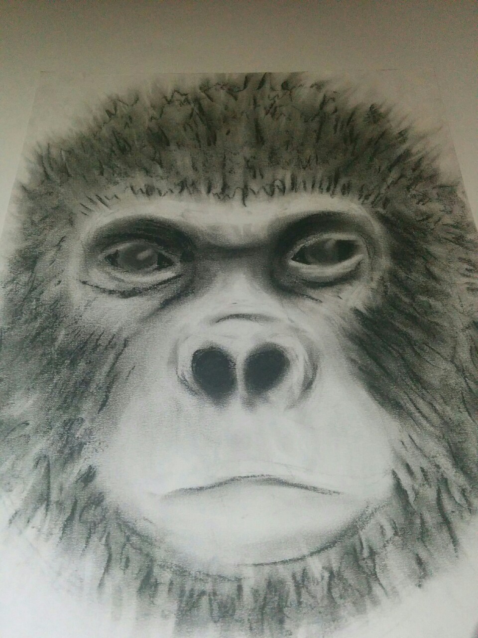 Monkey Boy Art — Gorilla and Squirrel Monkey drawing I did in...