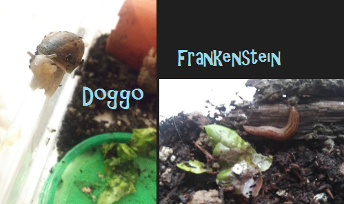frog-princ3