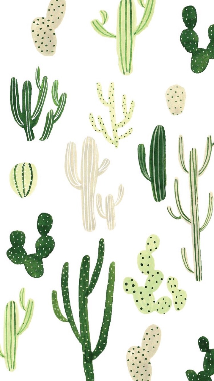 cactus wallpaper | Tumblr