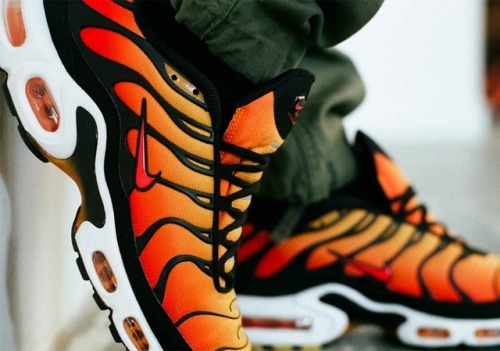 nike sunset tn