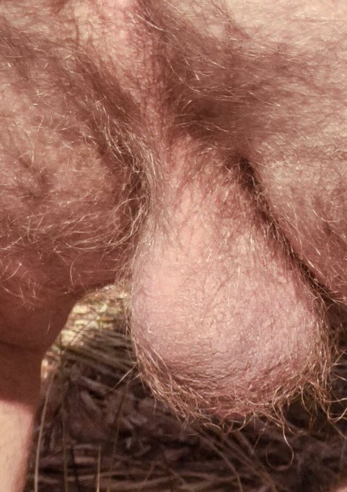 mydaddyishairy:My Daddy is Hairy - over 114,000 followers:...