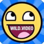 Comedy (@wild.video) • Instagram photos and videos