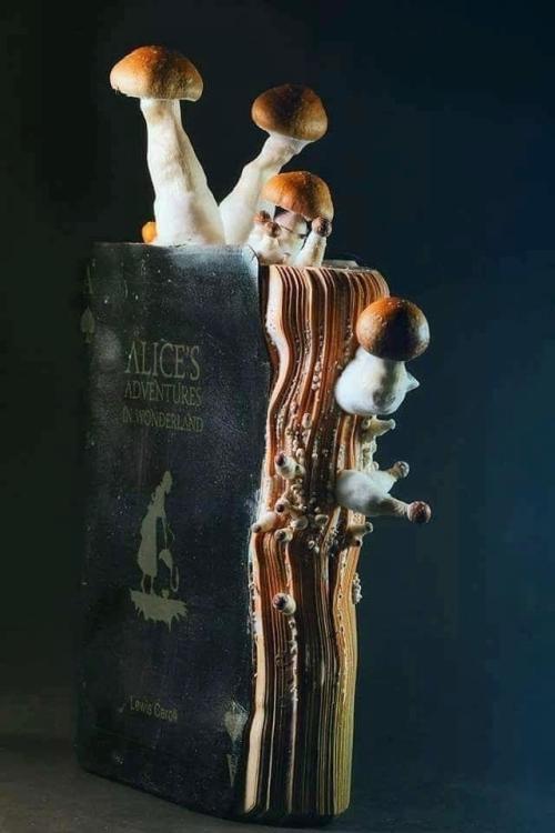 sixpenceee:A water damaged Alice in Wonderland book with fungi...