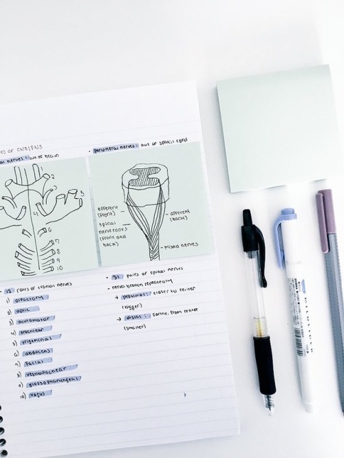 studyneurons:6.9 some MCAT notes on the basics of the...