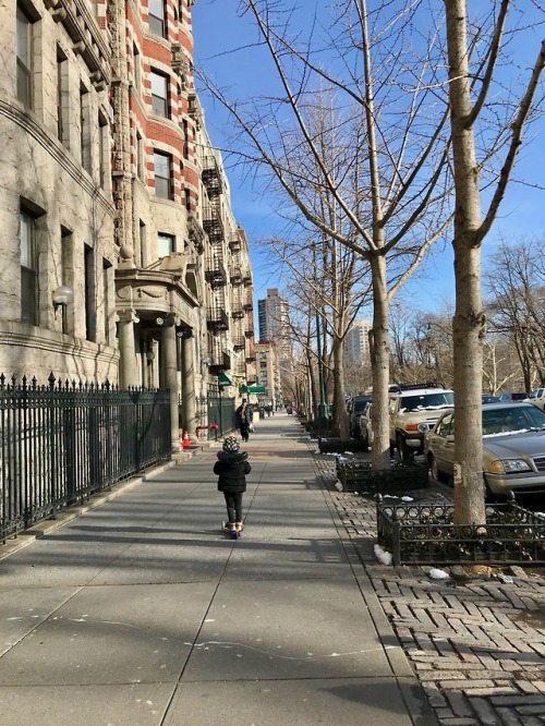 Streets of Harlem: W. 110th Street between Adam Clayton Powell...