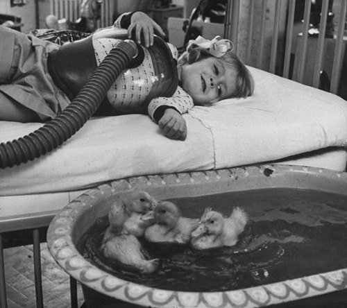 Animal therapy for a young girl in the hospital, 1956. Check this blog!