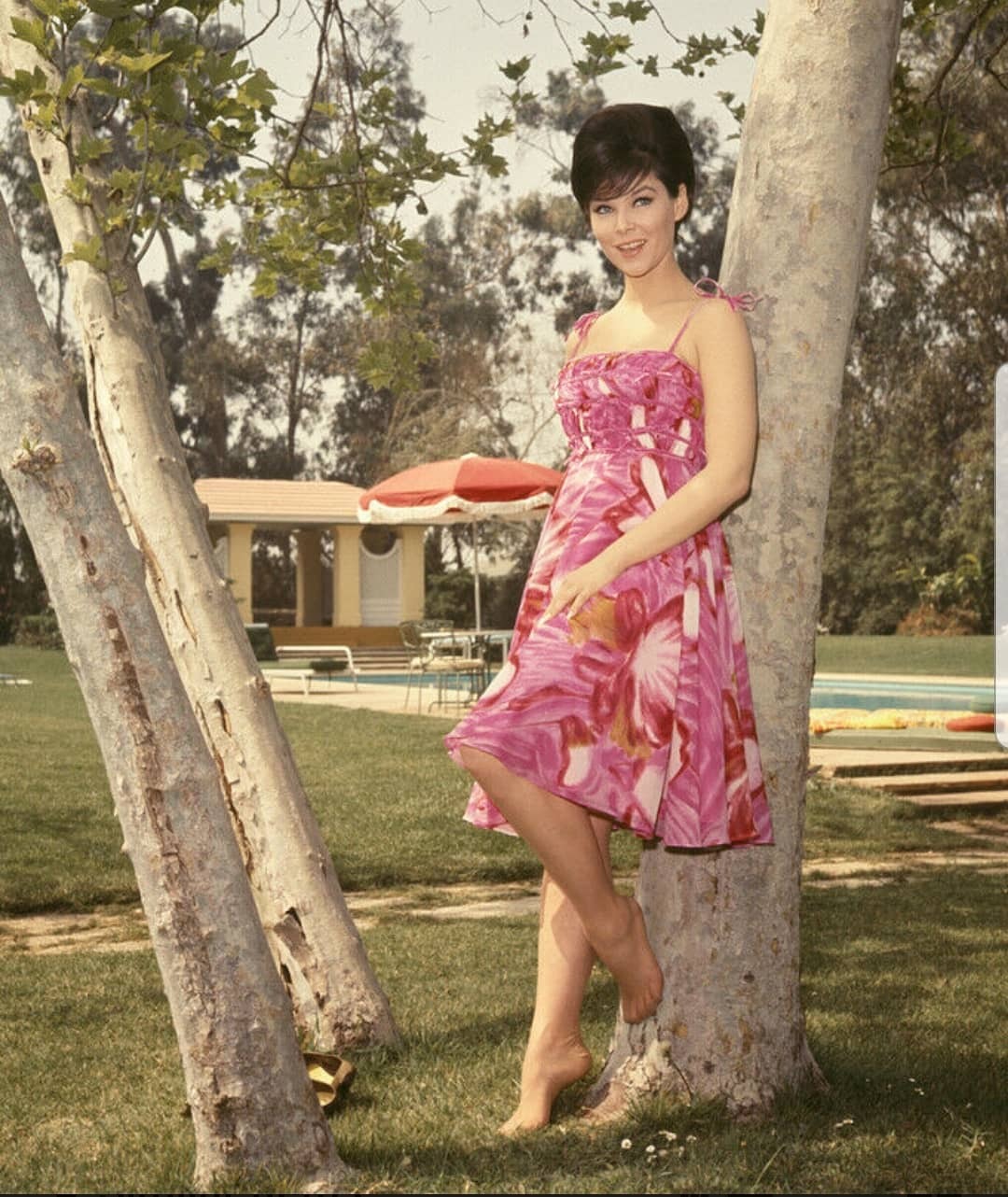 Next photo of Yvonne Craig