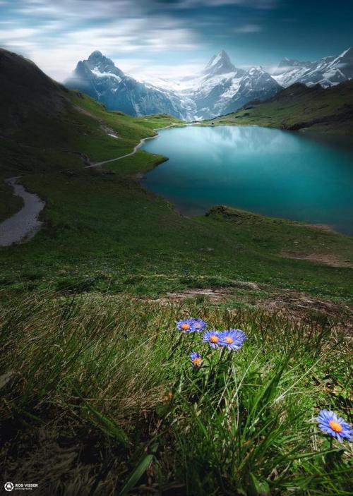 naturesnice
