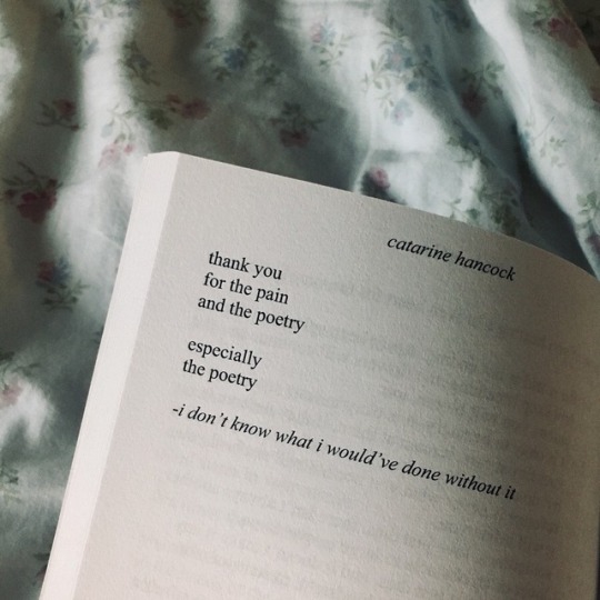 Love Poetry On Tumblr   Tumblr Pg3q25D0nm1tminox 540 