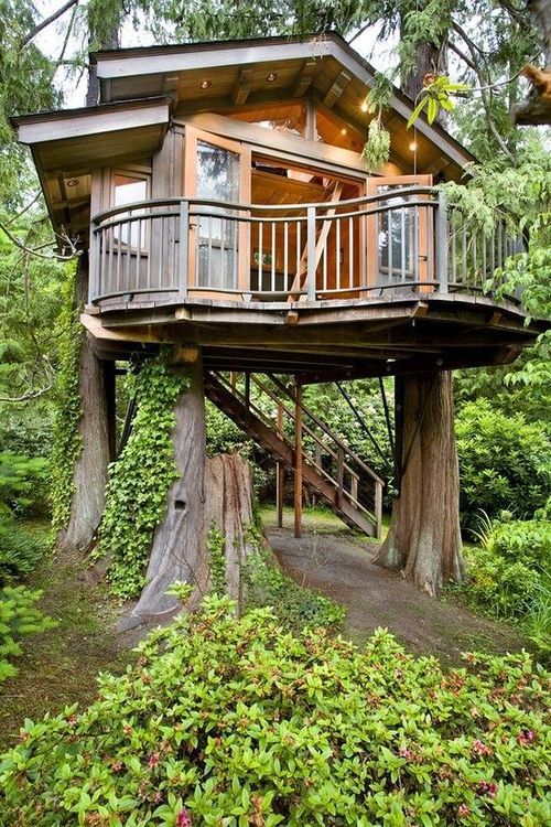 Tree Houses On Tumblr