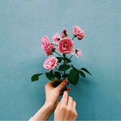 20+ New For Aesthetic Tumblr Pictures Flowers