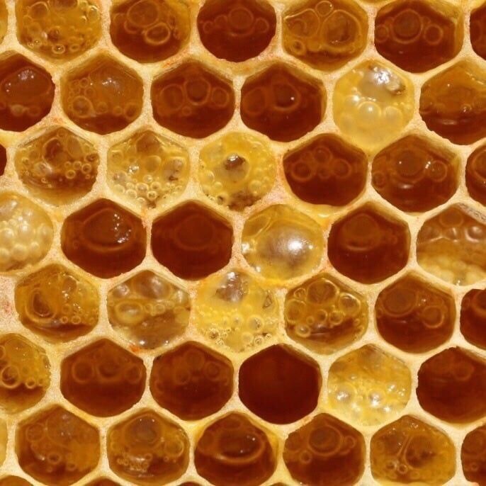 honey aesthetic on Tumblr