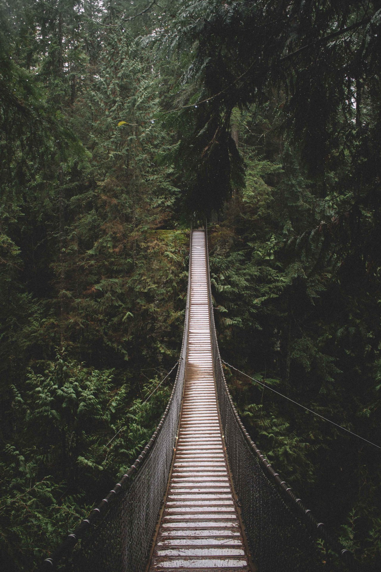 salboissettphoto: Rainy days. Lynn Valley...