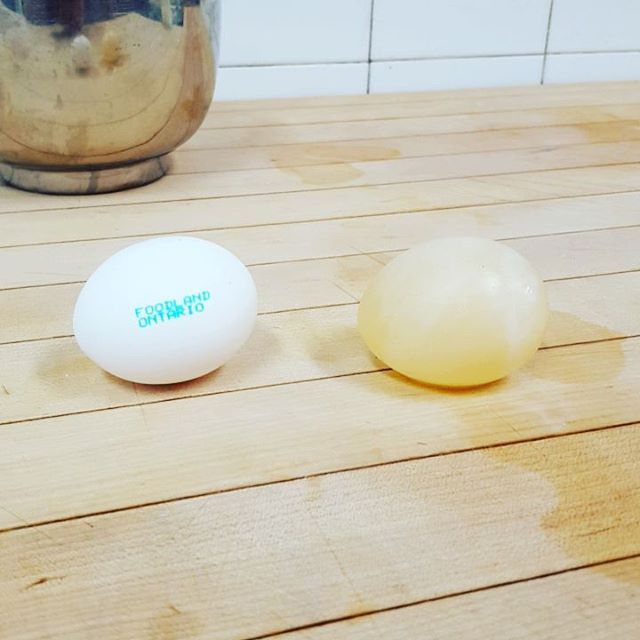 This Will Happen If You Soaked The Egg In Vinegar For Two 