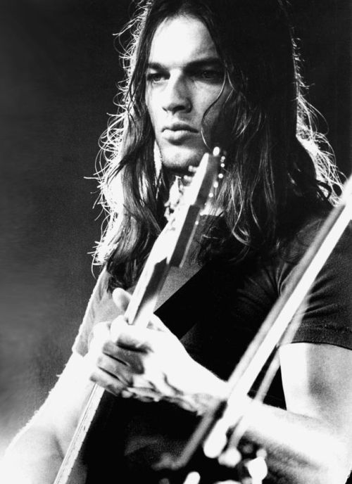 phenomia:David Gilmour