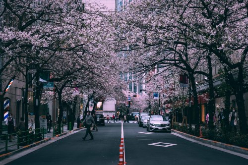 sleeplessintokyo87