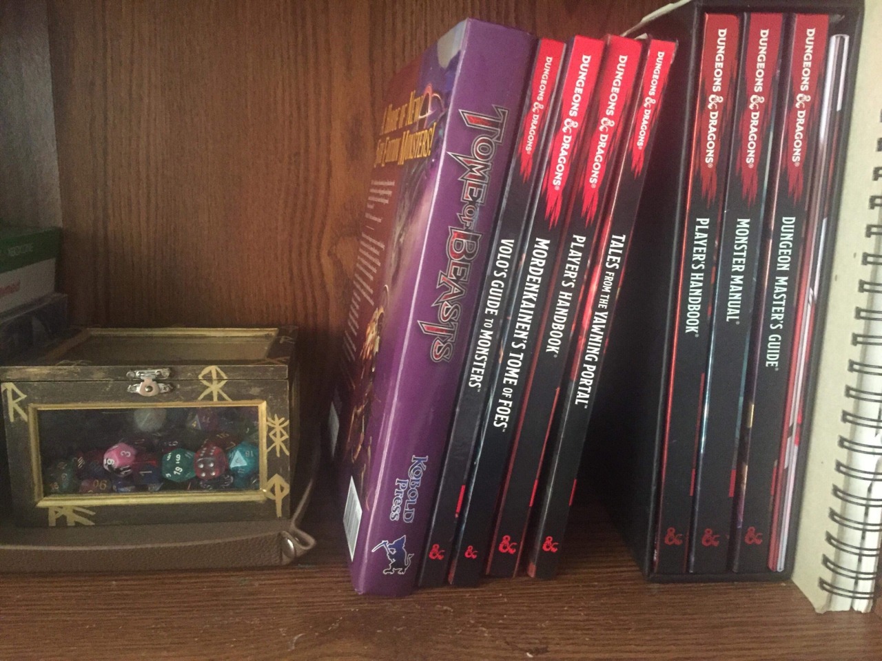 darkest dungeon bookshelf journal