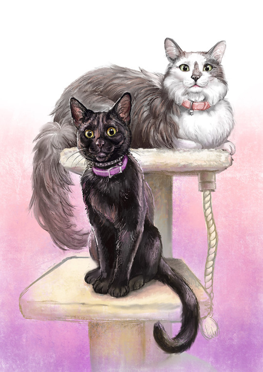 Wednesday & Matilda kitty portrait for tman72999, loved painting these two with their contrasting colours and personalities!...