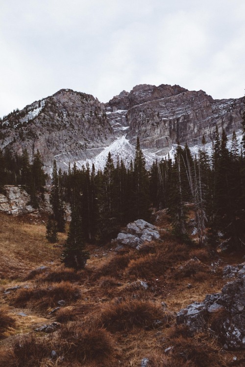 thrilled-d:jakeallisonphoto:Fall in Albion Basinig:...