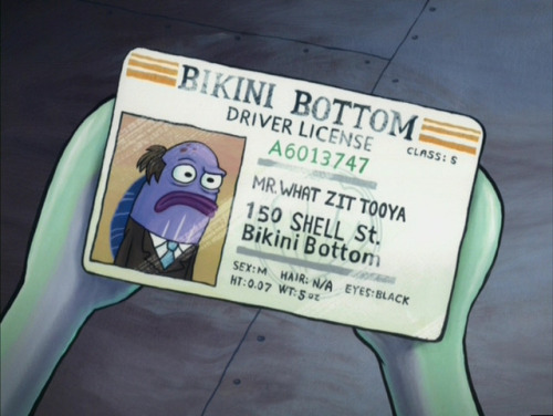 somenerdthing:Spongebob is 31 years old, but i think the real...