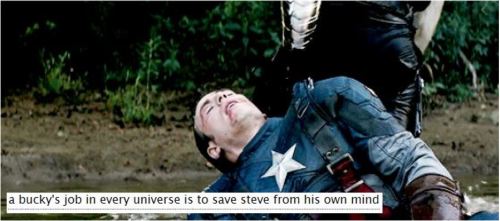 incorrectstevebucky