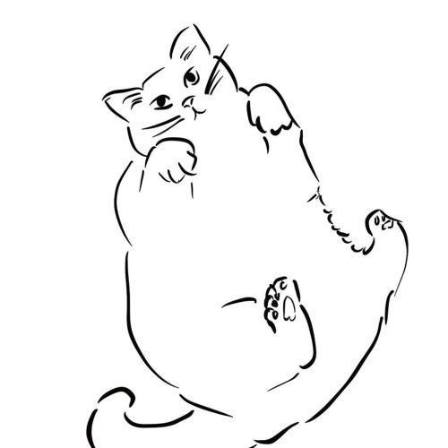 octilair