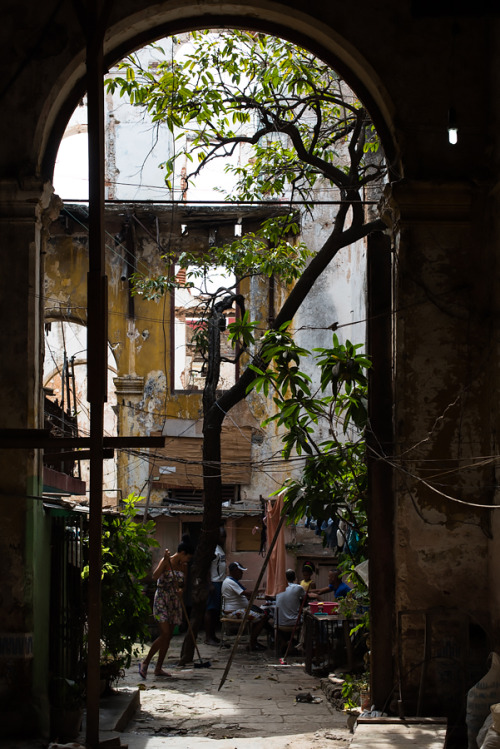 cubanarchitecturetoday:Card Game, Havana, Cuba, 2016 by Jet...