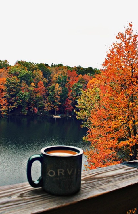 fall leaves fall blog fall aesthetic fall autumn blog autumn aesthetic autumn red orange yellow coffee tea warm and cozy cozy sweater weather lake october october 31 september november samhain halloween blog halloween is everyday halloween aesthetic halloween