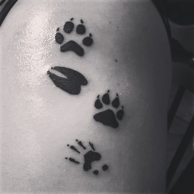 I am no longer a tattoo virgin! This is on my arm, and itâs the Marauders paw prints. In order: Padfoot, Prongs, Moony, and Wormtail.