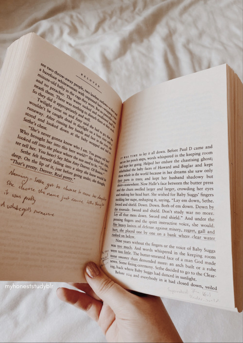 myhoneststudyblr
