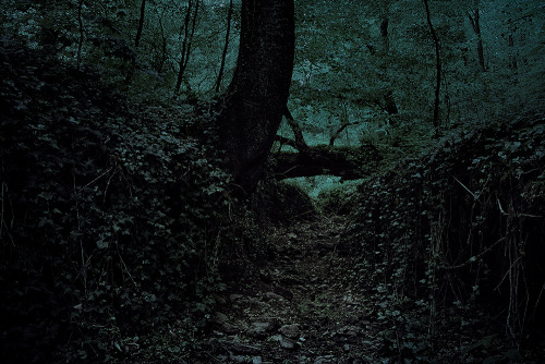olesianott-nature