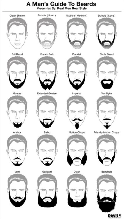 A man’s guide to beards More Visual Glossaries...