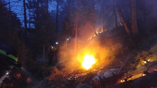 Wildland fire