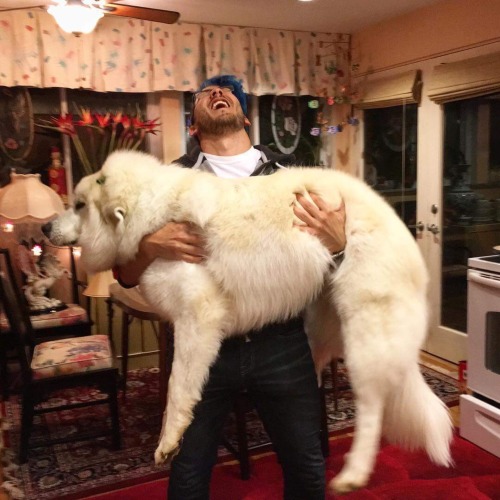 16 Photos Of Markiplier Holding The Sh*t Out Of Massive Dogs - We The ...